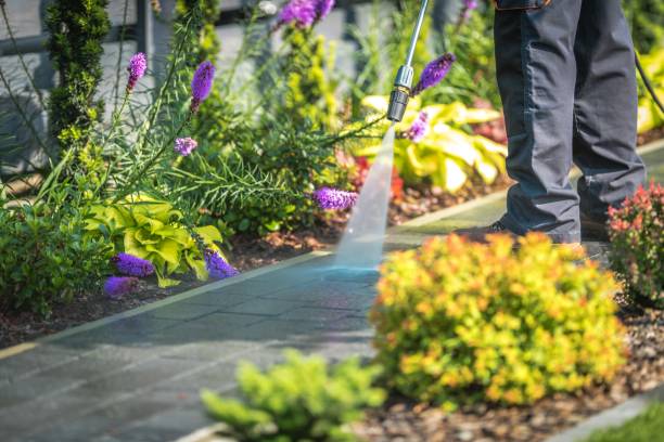 Best Dumpster Area Cleaning  in Jackson, WI